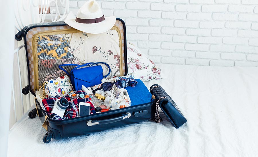 Best Purse Organizer for Your Personal Item or Travel Bag